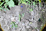 В Саратове задержан 19-летний закладчик синтетики